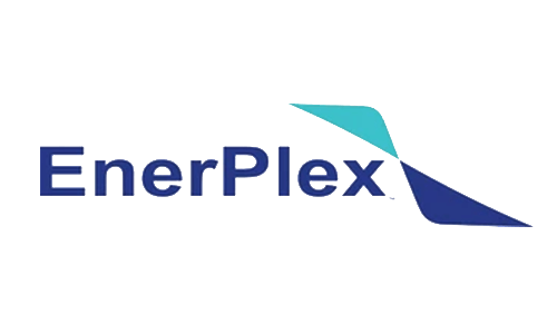 EnerPlex Pillow